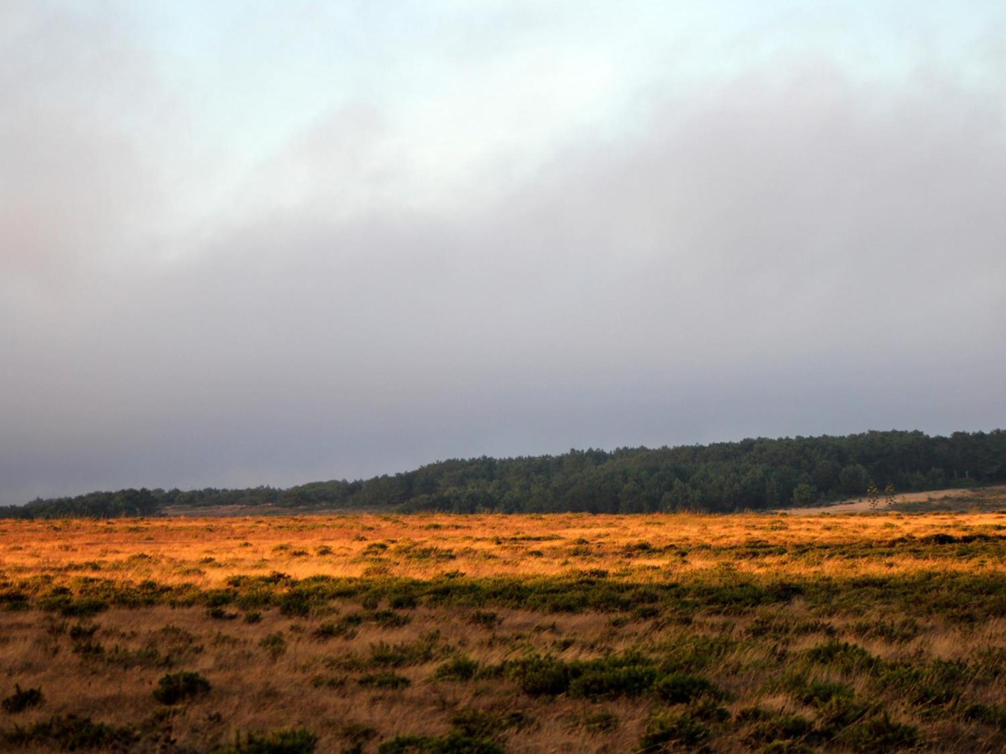 Monte De Santo Antonio - Turismo Rural Vila do Bispo Extérieur photo